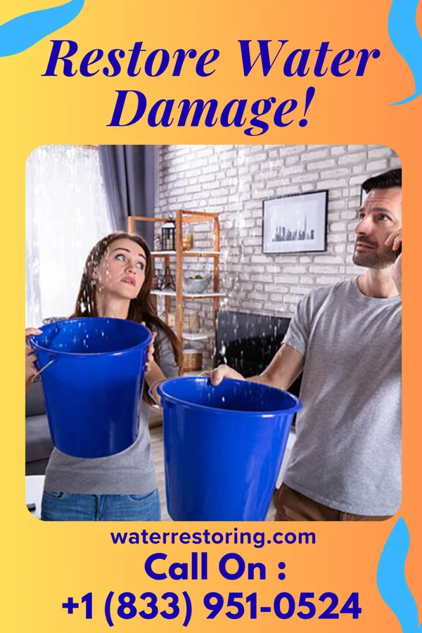 water restoration Stellar Flood Cleanup & Associates Gaylord