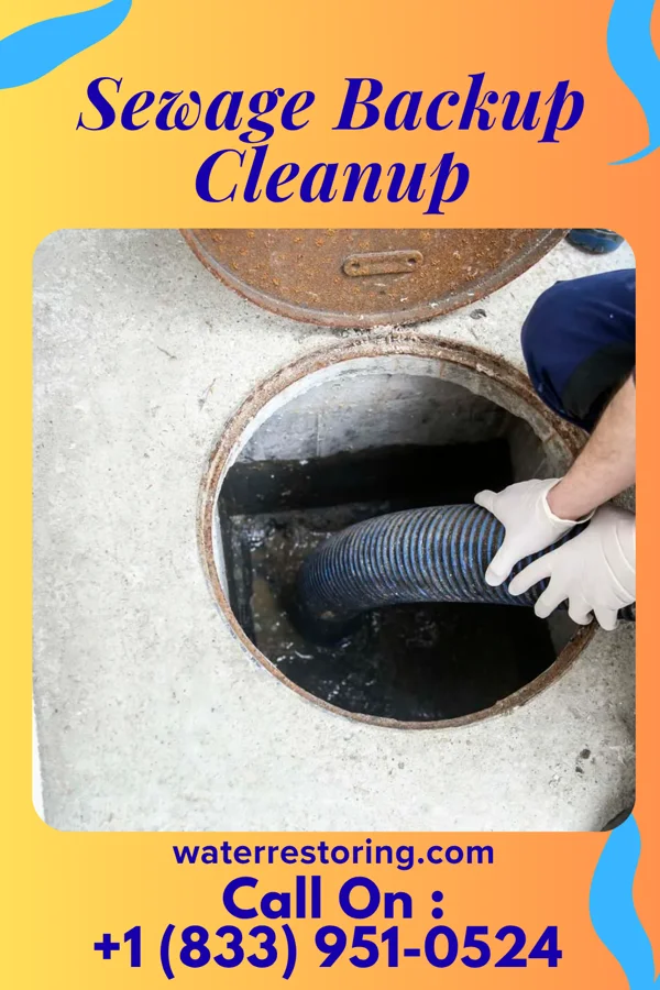 Sewage Backup Cleanup in Gaylord, MI
